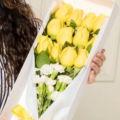 storage/images/productos/JSCYEMbh0l_VisualMasterStudio 0934_6_11zon.webp